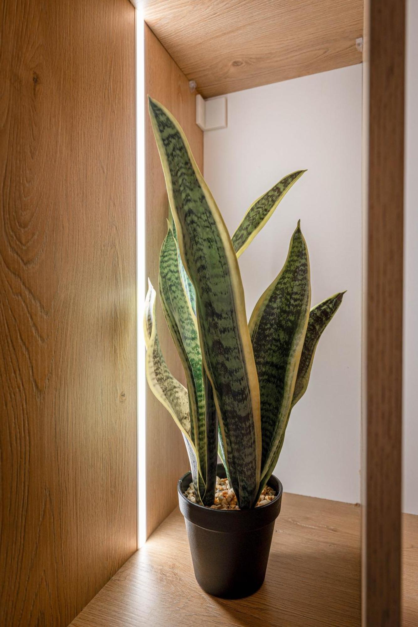 Mato Luxury Appartement