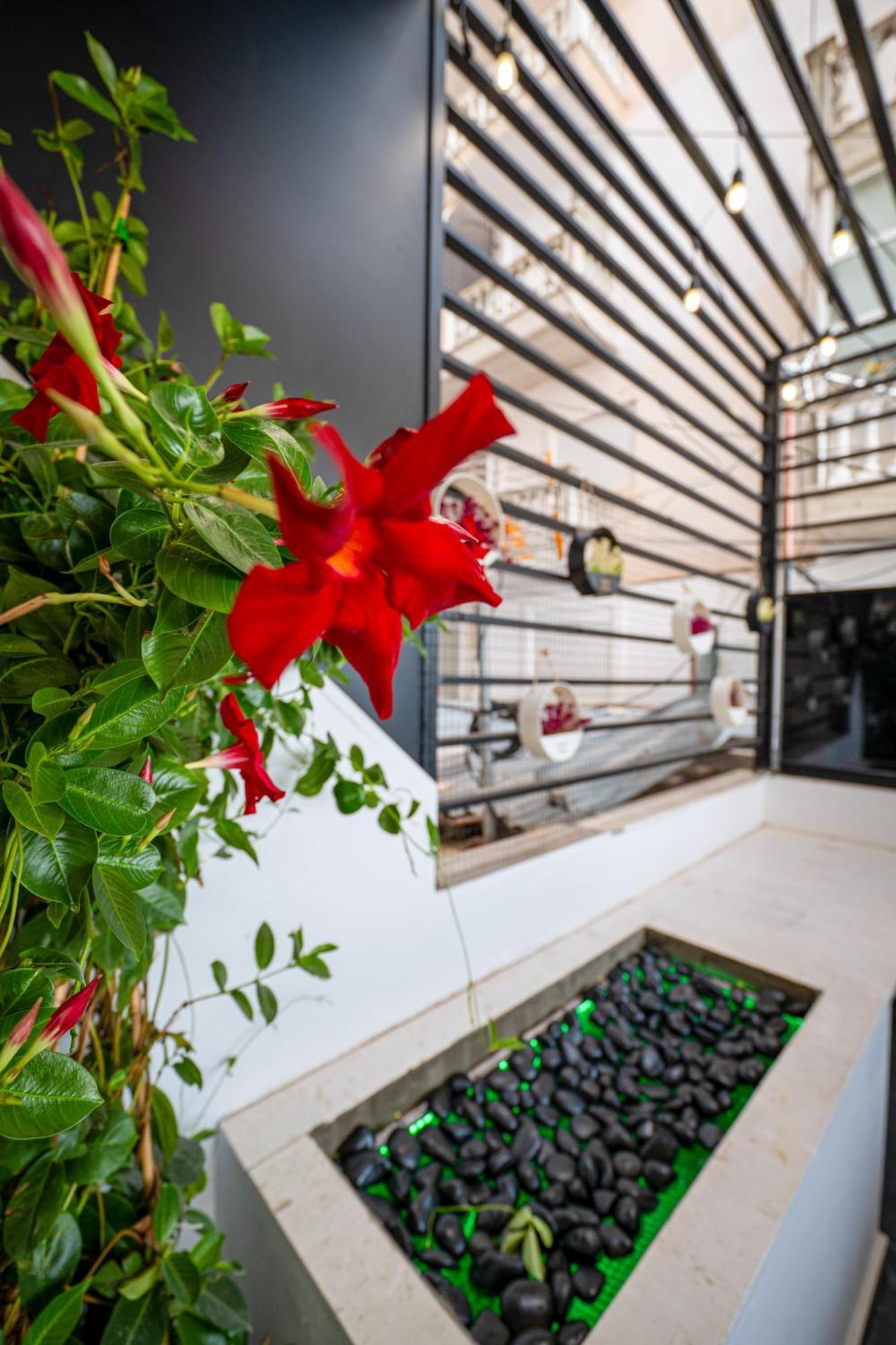 Mato Luxury Appartement Sarandë